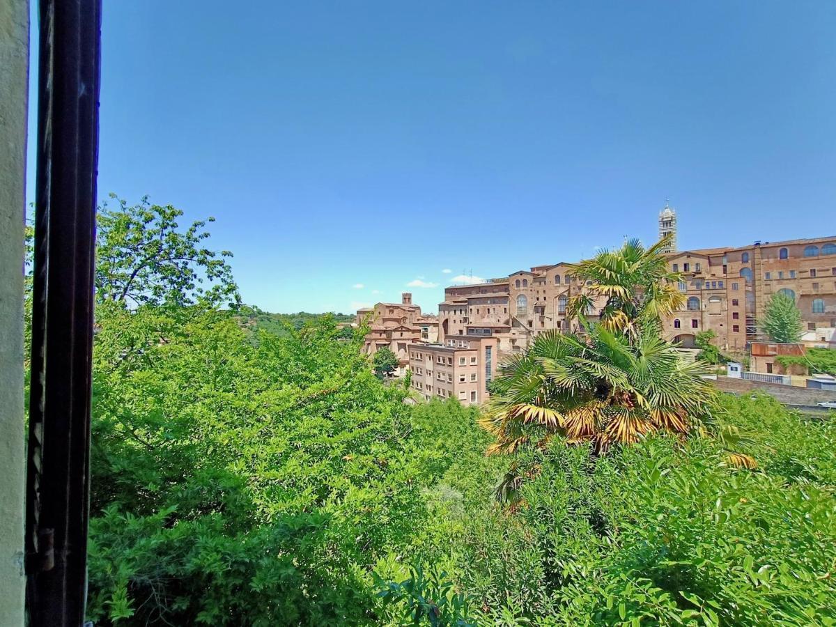 Casa Del Bravo - Camera Signorile '800 Sugli Antichi Orti Senesi Hotel Siena Buitenkant foto